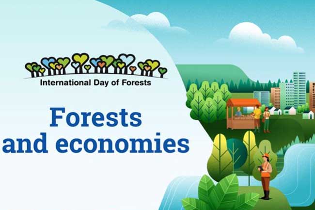 ජාත්‍යන්තර වනාන්තර දිනය අද - මෙරටදීත් වැඩසටහන් රැසක්