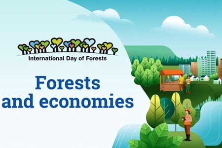 ජාත්‍යන්තර වනාන්තර දිනය අද - මෙරටදීත් වැඩසටහන් රැසක්