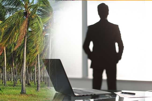 පුනරුදය ආයුධයක් කරගත් පොල් ලොක්කා.....!