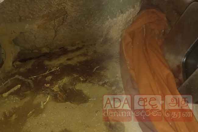 කොටියෙකුගේ සපාකෑමකින් අපවත් වූ විදෙස් හිමියෝ ගැන තවත් කරුණු