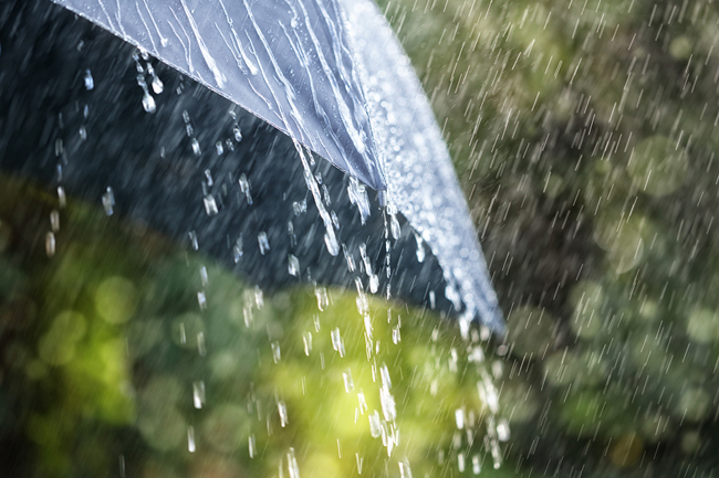 ප්‍රදේශ කිහිපයකට පස්වරු 2න් පසුව වැසි