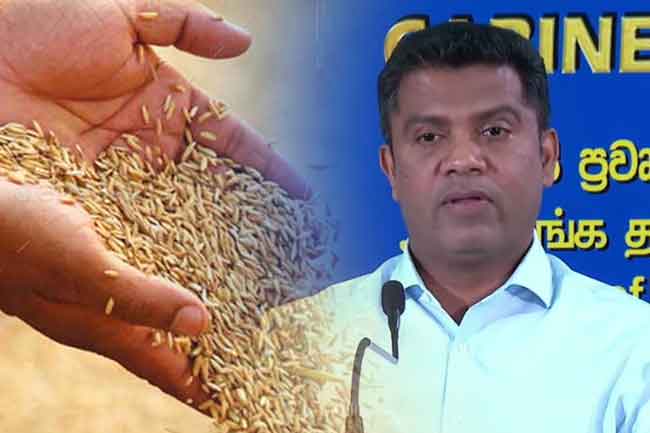 රජය වී මිලදී ගත් ප්‍රමාණය ඇමති නලින්ද හෙළි කරයි