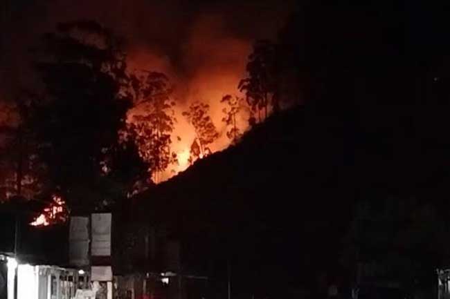 ඉලුක් රක්ෂිතයක ගින්නක් - අක්කර 10ක් විනාශයි 