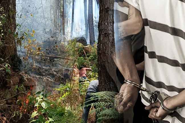 රිකාටන් රක්ෂිතයට ගිනිතැබූ පුද්ගලයෙකු අත්අඩංගුවට