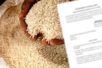 GR 11 සහල් ප්‍රභේදය ආනයනයට අදාළ ගැසට් නිවේදනය නිකුත් කෙරේ