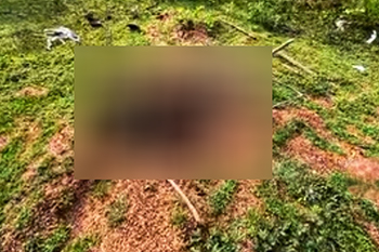 මිහිදන් කළ මෘතදේහයක  හිස කොටස අතුරුදන්