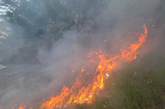 කාසල්රි ජලාශයේ ලොකුම දූපතේ ගින්නක් 