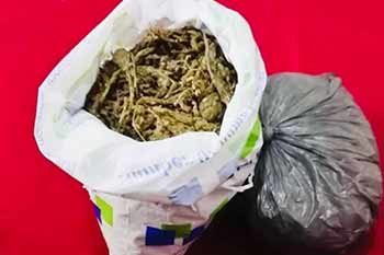 ගංජා පාර්සලයක් සමඟ පොලිසියේ දෙදෙනෙක් අත්අඩංගුවට