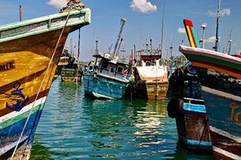 ධීවර බෝට්ටු සඳහා ඉන්ධන සහනාධාරයක් ලබාදීමට කැබිනට් අනුමැතිය