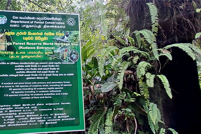 සිංහරාජයට පිවිසෙන කුඩව පිවිසුම හෙට සිට දින 6ක් වසා තැබේ