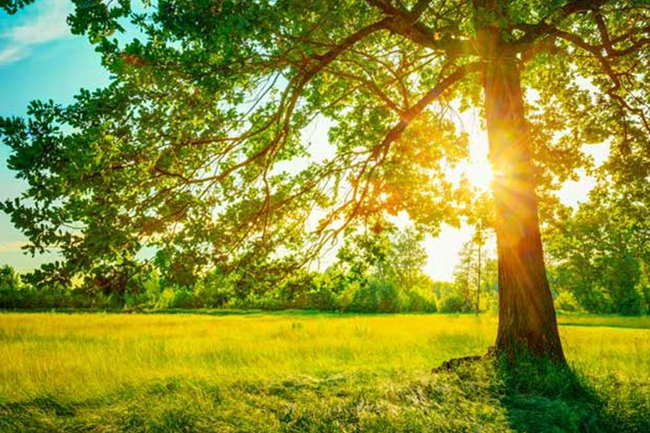 අද කාලගුණය - හිරු මුදුන්වන ප්‍රදේශ මෙන්න