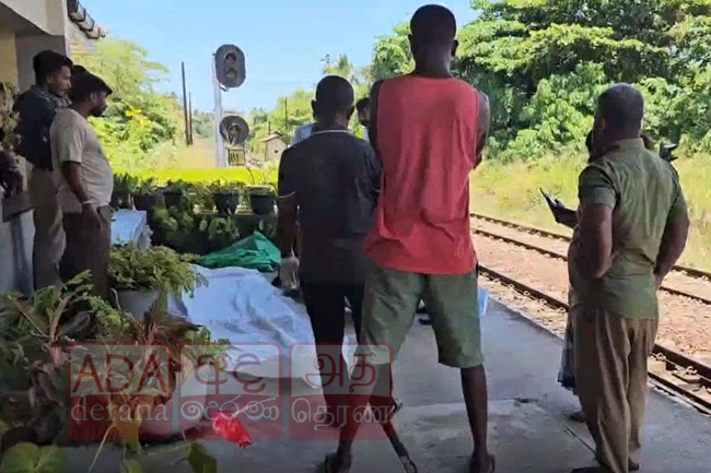 දුම්රියේ ගැටීමෙන් විදෙස් තරුණියක් ජීවිතක්ෂයට 