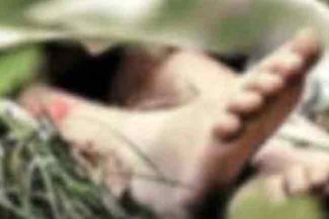 තැන තැන හමුවන මළසිරුරු