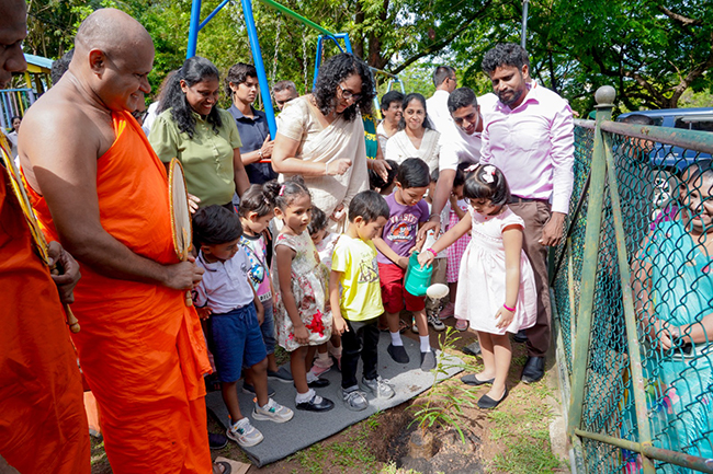 පැළ සිටුවීමේ නැකැත් චාරිත්‍රය...