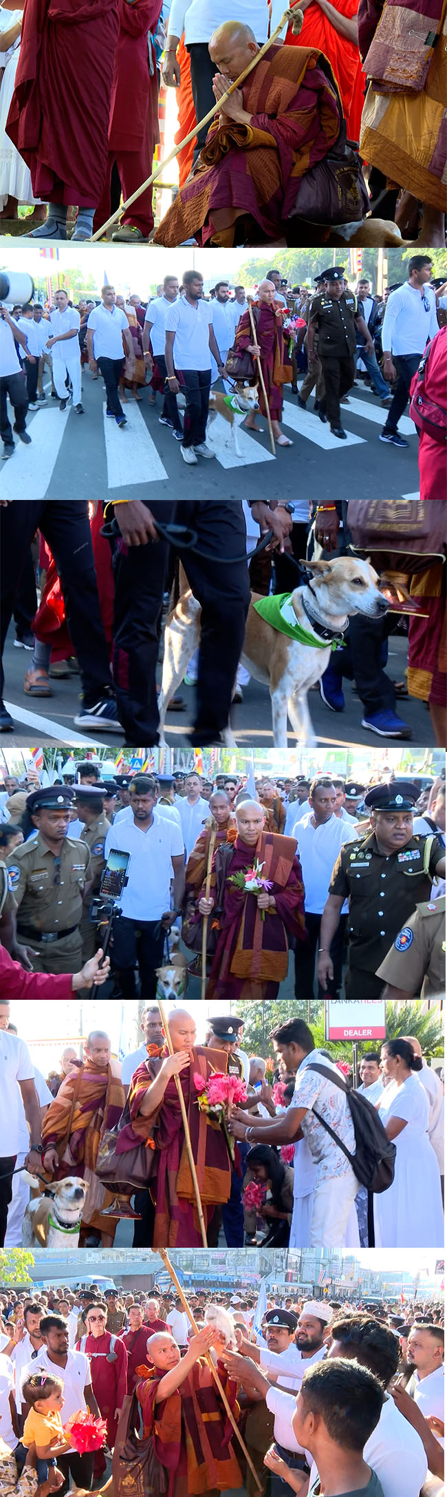 සාම පාද යාත්‍රාවේ සිව්වන දිනය අද..