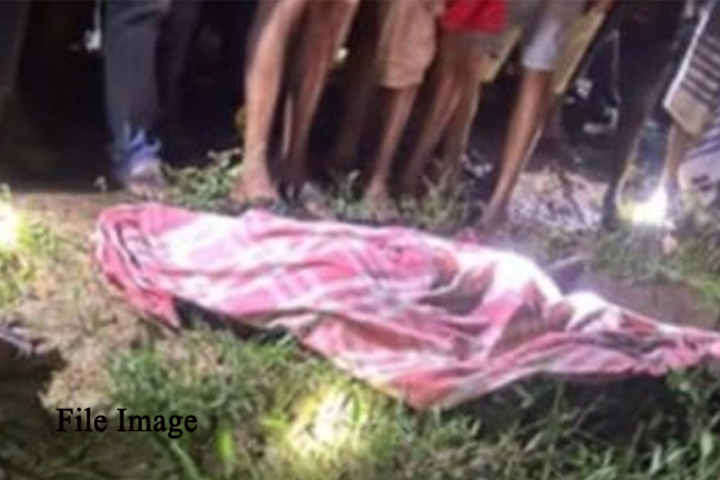 වනඅලි ප්‍රහාරයකින් පුද්ගලයෙකු මරුට