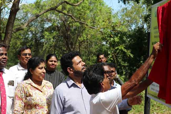 පොල්පිතිගම සේරුගස්යාය පහළ අලවත්තාව වැවේ ප්‍රතිසංස්කරණ කටයුතු ඇරඹේ