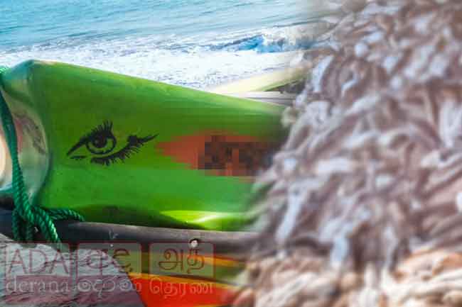 නීති විරෝධී ලෙස රාත්‍රී කිමිදුම් කටයුතු සිදුකර මුහුදු කූඩැල්ලන් ඇල්ලූ තිදෙනෙකු අත්අඩංගුවට