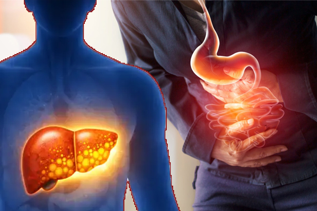 ගැස්ට්‍රයිටිස් සහ අක්මාවේ තෙල් තැන්පත් වීම නිහඬ මාරයෙක් ද ?