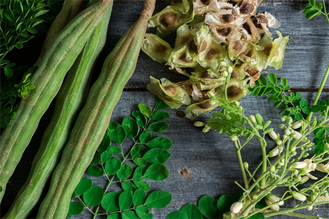 ආශ්චර්යමත් ගස ගැන ඇසෙන අරුම පුදුම කතාව