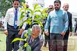 මාලදිවයින් ජනාධිපතිගෙන් රටට පැළයක්...