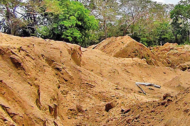 මන්නාරම් දිස්ත්‍රික්කයේ වැලි කැණීමේ සියලු බලපත්‍ර තාවකාලිකව අත්හිටුවයි 