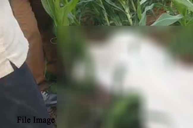 වන අලි පහරදීමකින් පියෙකු සහ දියණියක මරුට