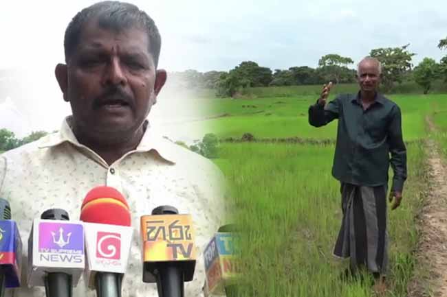 විසඳුම් නොදුන්නොත් කොළඹට එන බවට ගොවීන්ගෙන් අනතුරු ඇඟවීමක් 