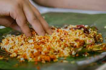 කෑම හොඳින් හැපීම ශරීරයට සහ මොළයට ඉතා වැදගත් බවට අනාවරණයක්