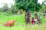 ගවයින් සඳහා අභයදානය දීම