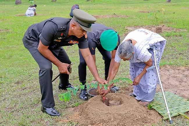 මතු පරපුර වෙනුවෙන් යුද්ධ හමුදාවෙන් දිවයින පුරා හරිත මෙහෙයුමක් 