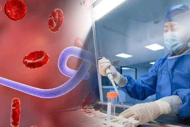 ඉබෝලාවට එරෙහිව බ්‍රිතාන්‍යයෙන් අලුත් එන්නතක්