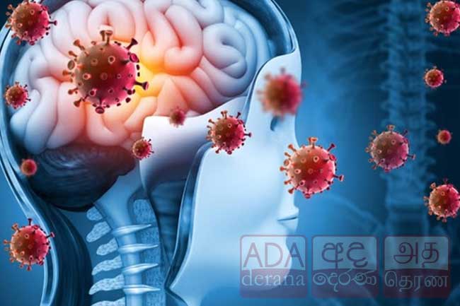 මෙනින්ජයිටීස් රෝගීන් 200ක් - උණුකර නිවාගත් ජලය පානය ඉතා වැදගත්