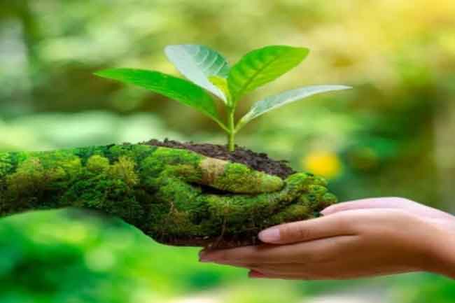 ජගත් පරිසර දිනයට අදාළ ජාතික පාරිසරික සතිය හෙටින් ඇරඹේ 