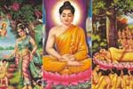 පින්බර වෙසක් පුන් පොහෝ දිනය අදයි