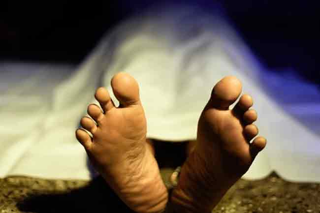 ගසකට යටවීමෙන් පුද්ගලයෙකු ජීවිතක්ෂයට