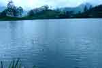වැසි තත්ත්වයේ අඩුවීමත් සමග ගංගාවල ජල මට්ටම සාමාන්‍ය තත්ත්වයට