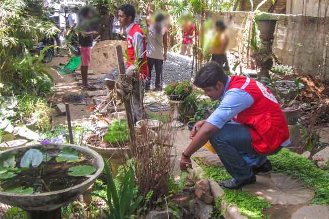 මදුරු මර්දනයට විශේෂ දින තුනක්