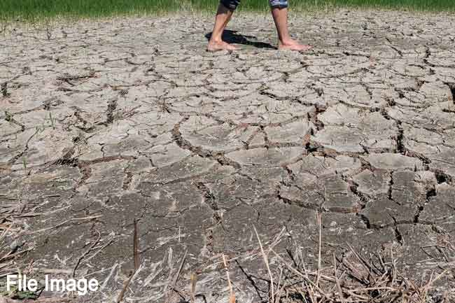 'එල් නිනෝ' තත්ත්වය ගැන බය හිතෙන කතාවක්