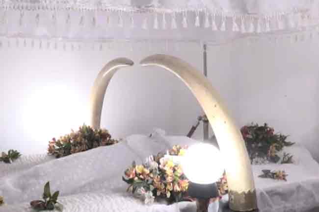 නන්දනී මියගියේ රෝහලේ වරදින් ද?