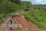 උඩරට දුම්රිය මාර්ගය