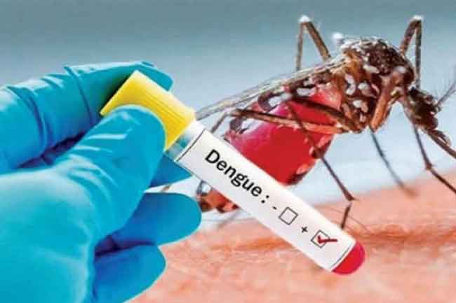 ඩෙංගු රතු කටු පනී - රෝහල්වල රෝගී ධාරීතාව ඉහළට