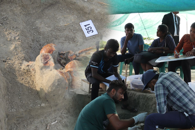 චෙම්මනි සමූහ මිනිවළෙන් සිරුරූ 351ක කොටස් හමුවෙයි