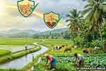 සෑම බෝගයක්ම ආවරණය කරමින් රක්ෂණාවරණයක් 