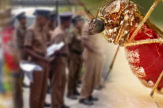 ඩෙංගු මරුදුවන් බෝ වීමට ඉඩ සැලැස්වූ පුද්ගලයින් 76කට පොලීසියෙන් නඩු 