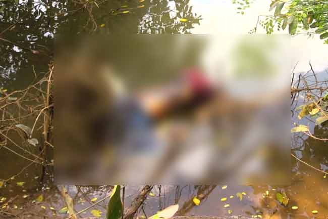 කැලණි ග‍ඟේ පාවෙමින් තිබූ මළ සිරුරක් සොයාගැනේ 