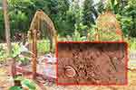 මහ දවල් සොහොනක බලි පූජා කළ කාන්තාවන් දෙදෙනෙකු අත්අඩංගුවට 