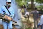 ග්‍රාම නිලධාරී වසම් 600ක් ආවරණය වන පරිදි ජාතික ඩෙංගු මර්දන වැඩසටහනක්