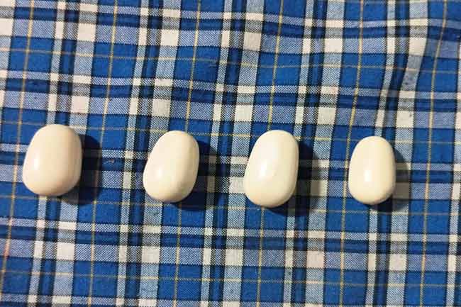 ගජමුතු සමග තිදෙනෙකු අත්අඩංගුවට 