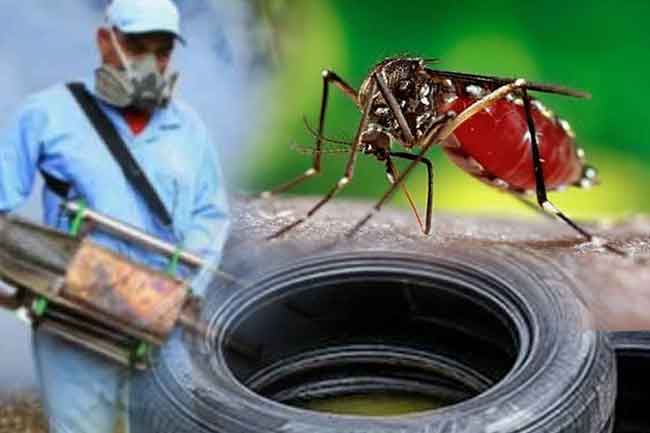 ඩෙංගු මරණ 30ක් දක්වා ඉහළට